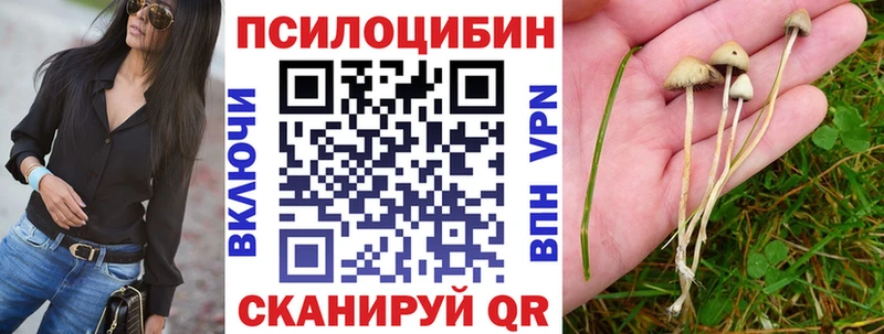 Псилоцибиновые грибы прущие грибы  купить наркотики сайты  Гаврилов Посад 